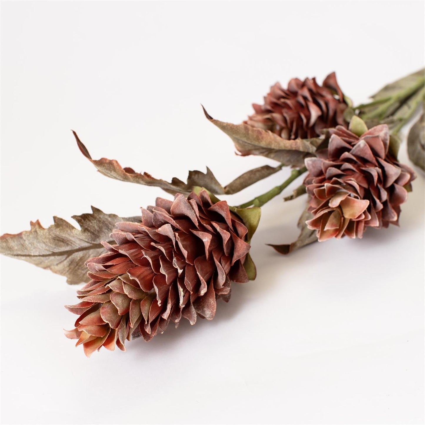 Faux Dried Look Protea