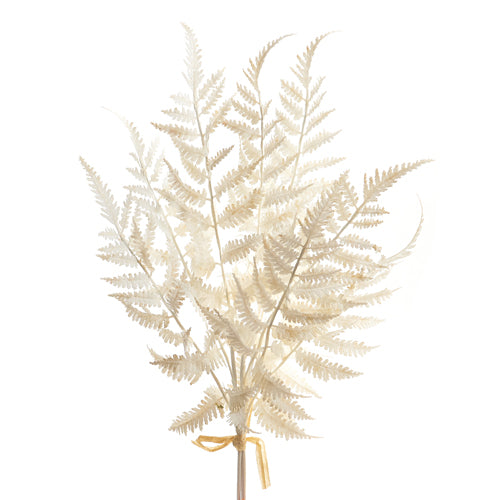 20" White Fern Bundle