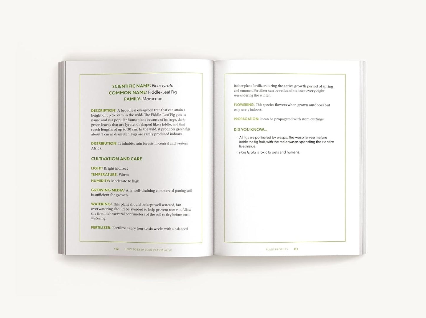 How to Keep Your Plants Alive: 50 Plants That Are Impossible to Kill