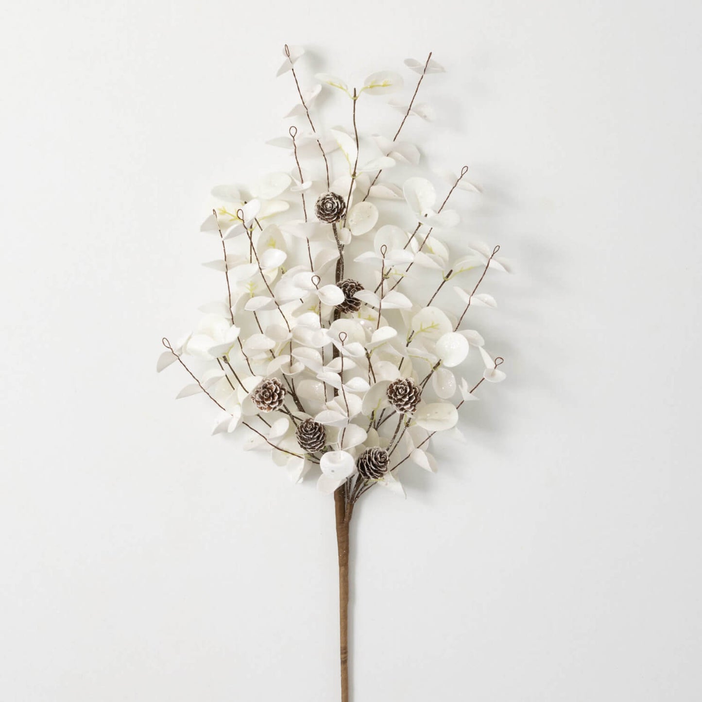 White Eucalyptus and Pinecone Spray