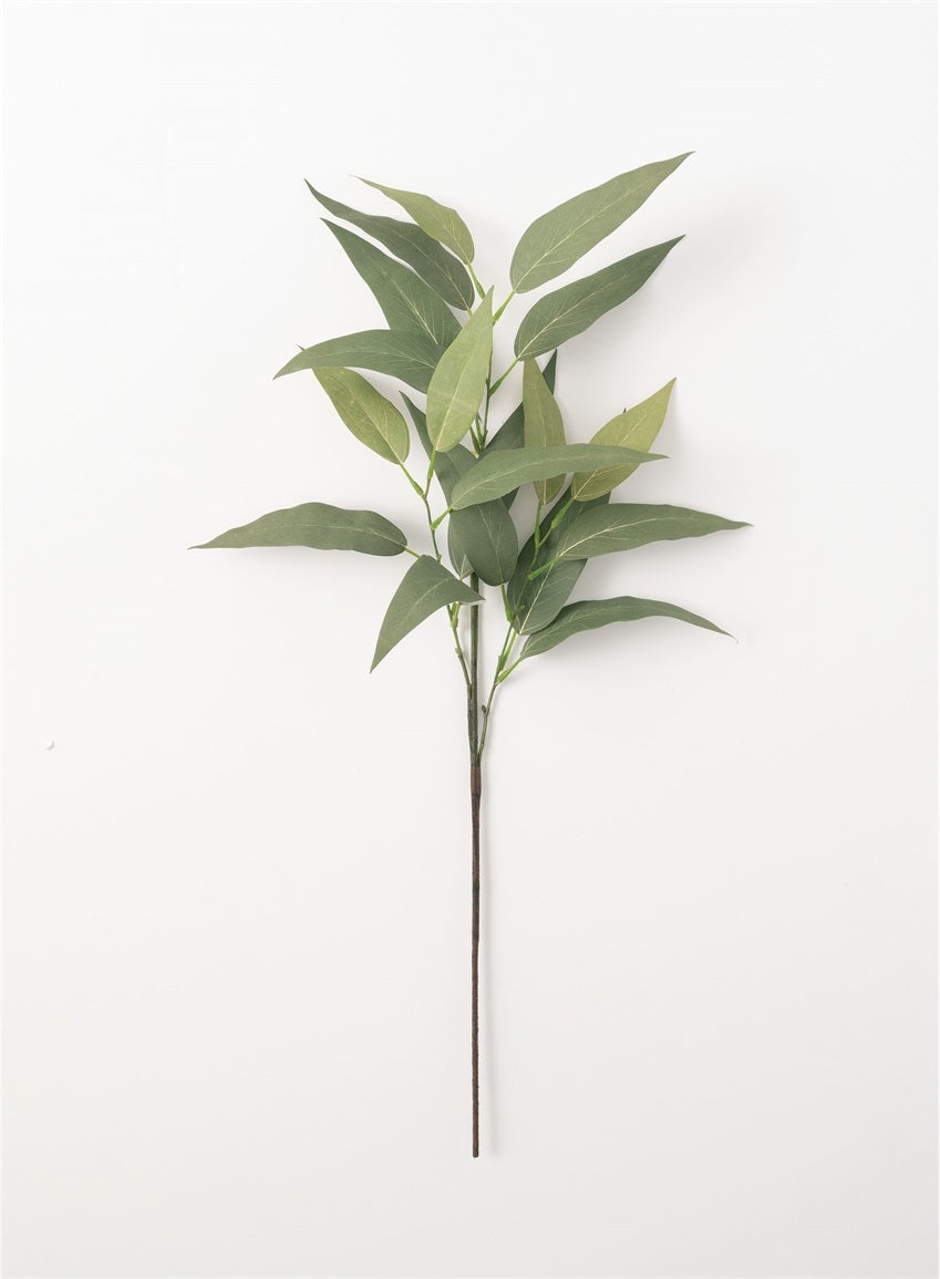 Eucalyptus Leaf Spray