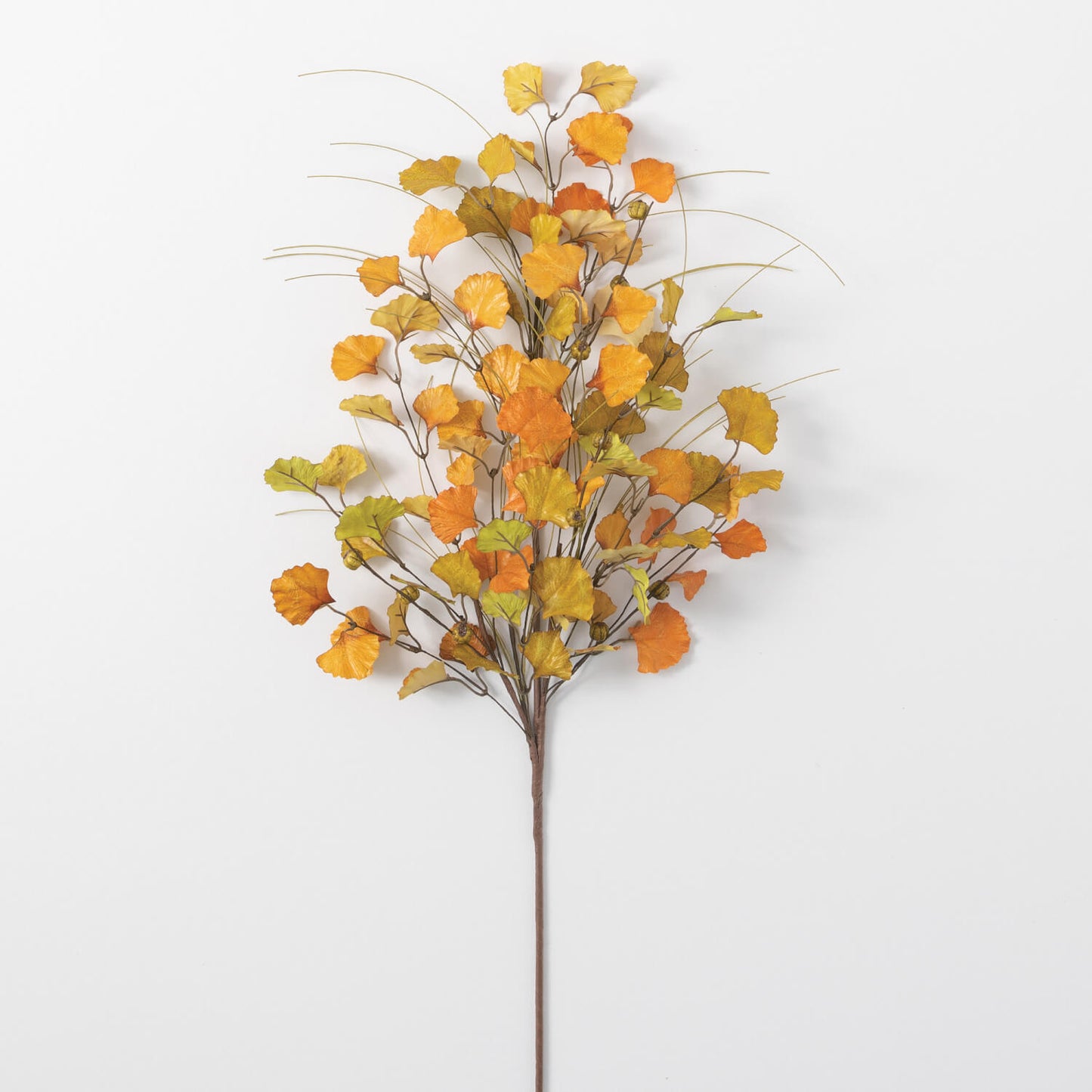 Ginkgo Pumpkin Spray