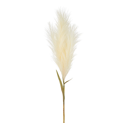 36" Pampas Grass Plume