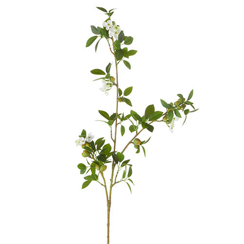Green Quince Branch 42"