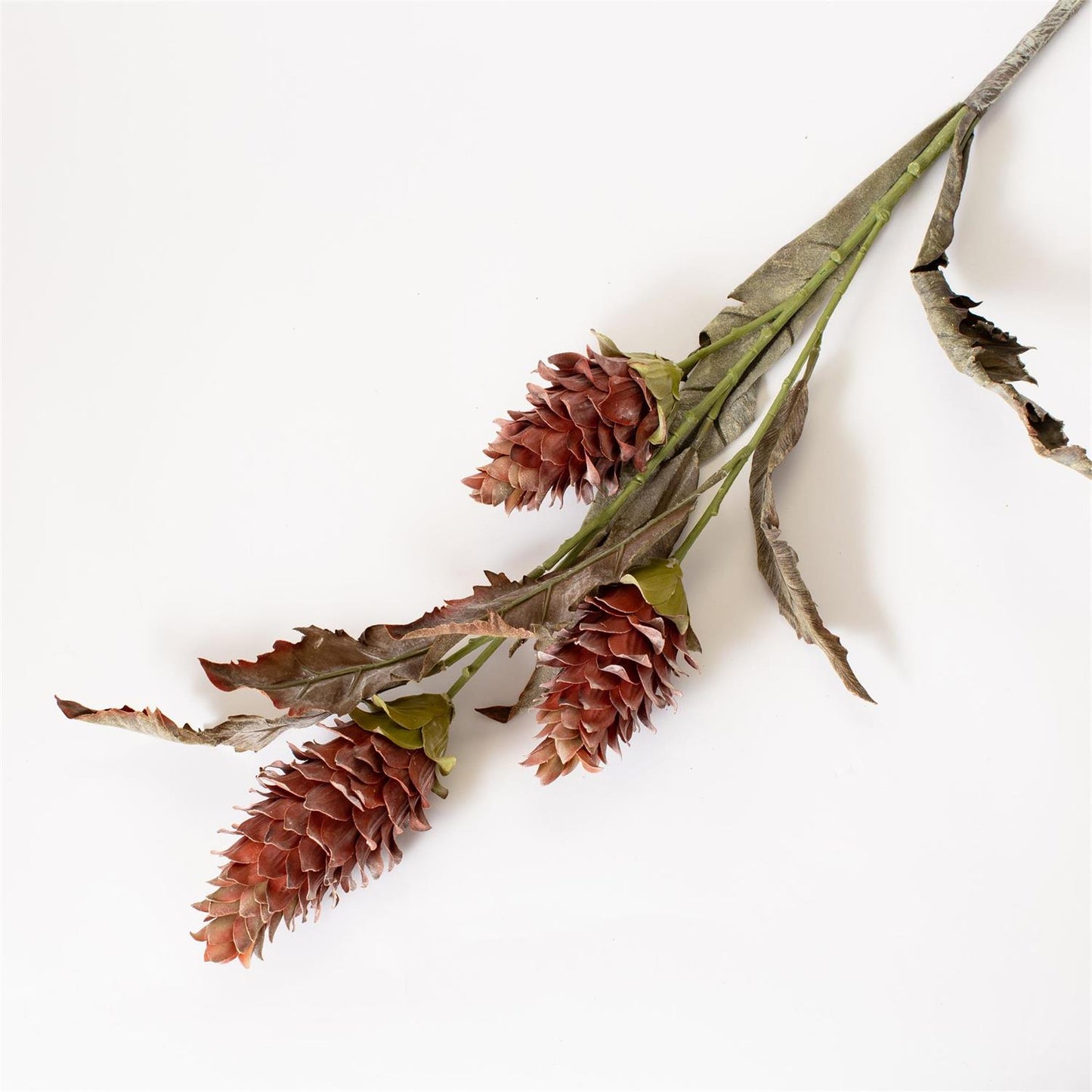 Faux Dried Look Protea