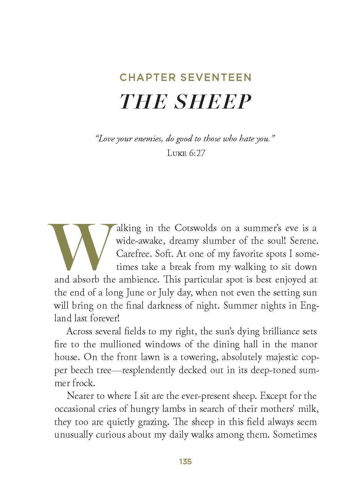 Meeting God in Quiet Places