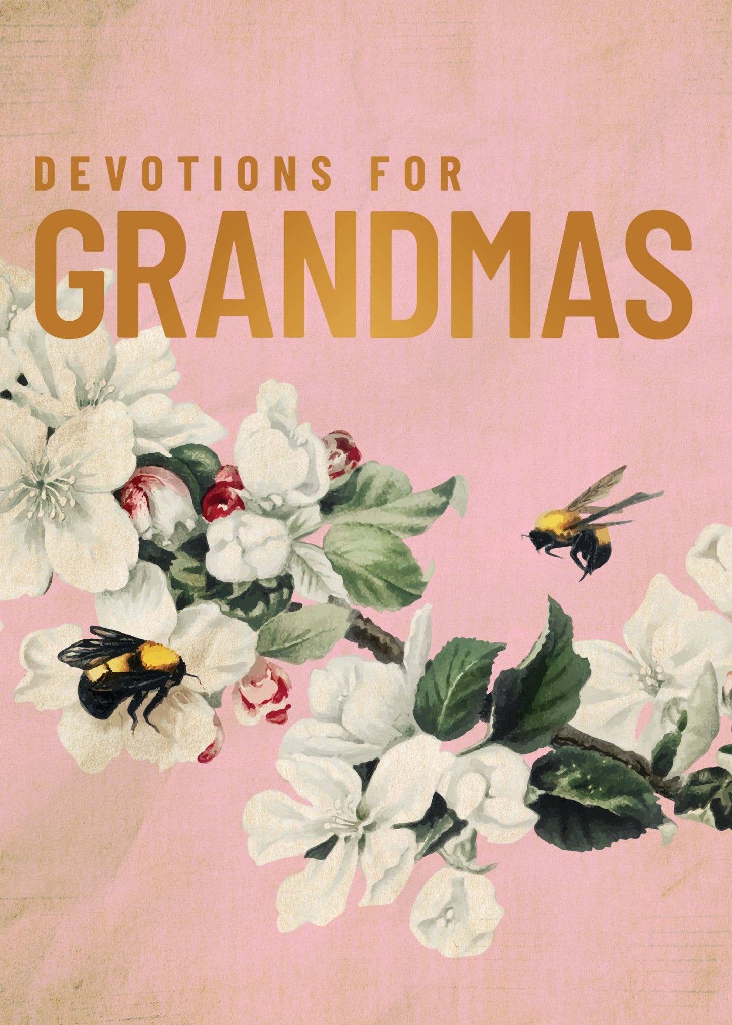 Devotions For Grandmas