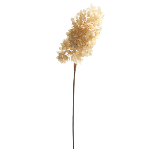 34" Dried Hydrangea Spray