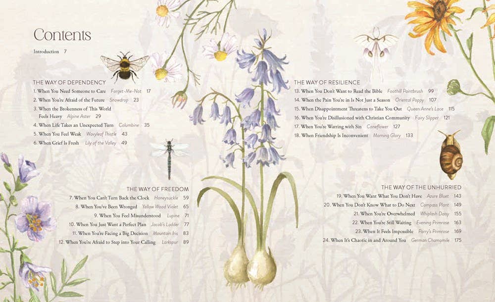 The Way of the Wildflower : Gospel Meditations to Unburden Y