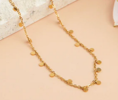 Waterproof Disc Chain