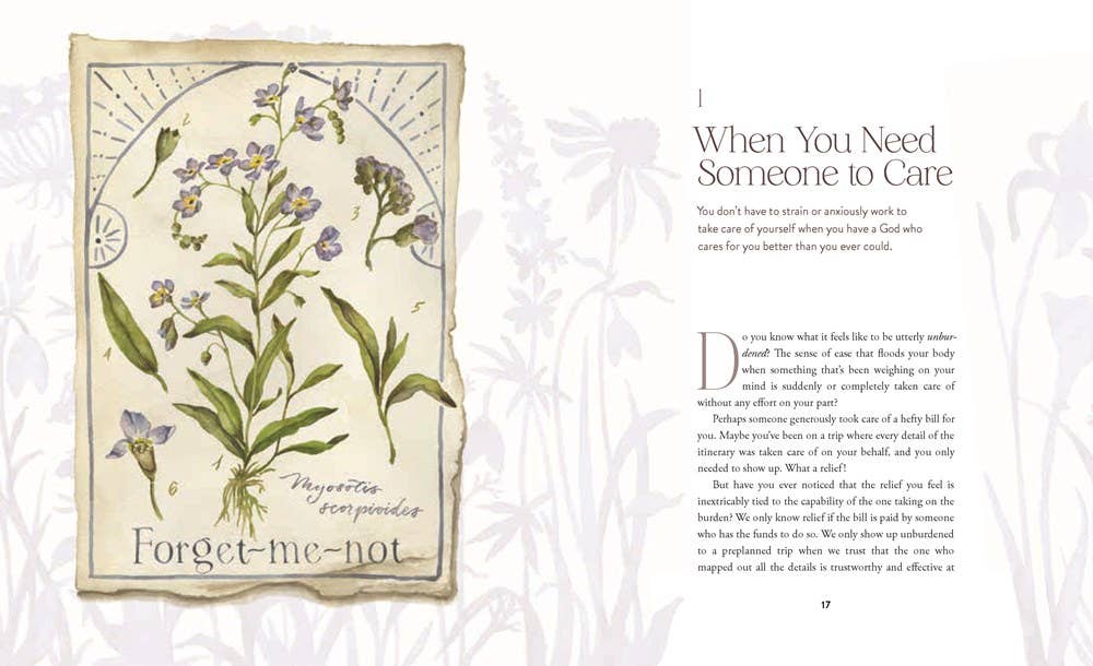 The Way of the Wildflower : Gospel Meditations to Unburden Y