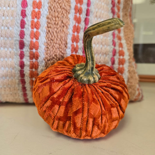 Velvet Pumpkin in Burnt Orange