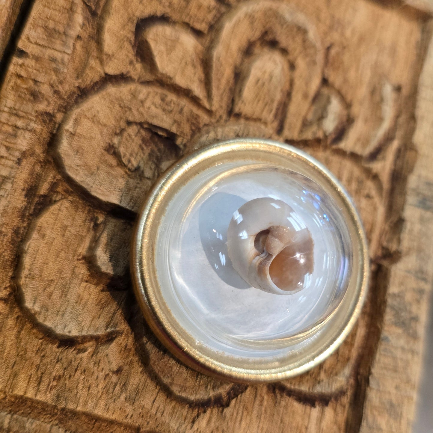 Oyster Magnet