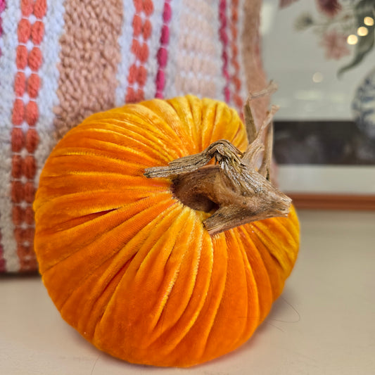 Velvet Pumpkin in Carrot Orange