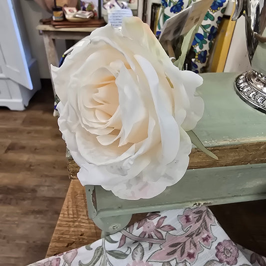 Palest Pink Rose Stem