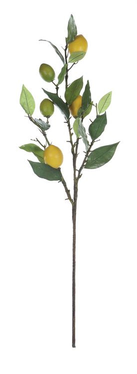 Faux Lemon Tree Branch
