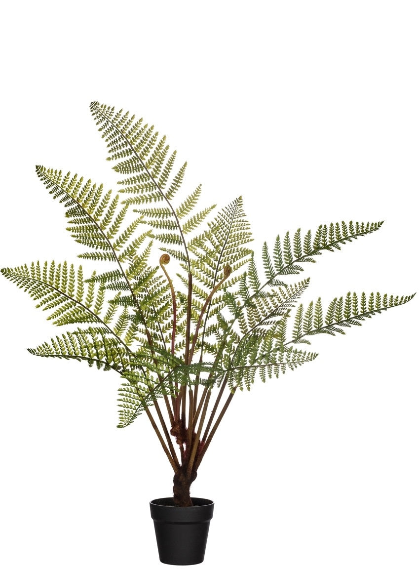 Faux Potted Fern