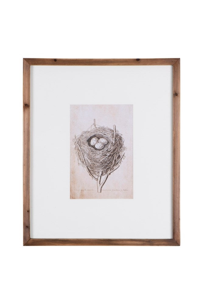 Nest + Egg Framed Art Print